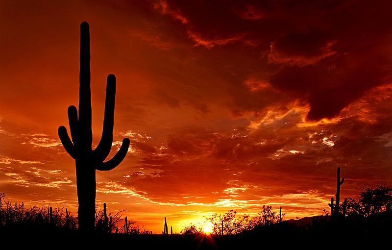 Tucson, AZ Camp